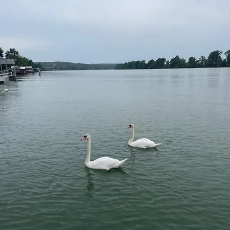Kuca Za Proslave I Odmor Zmajevo Gnezdo Villa *