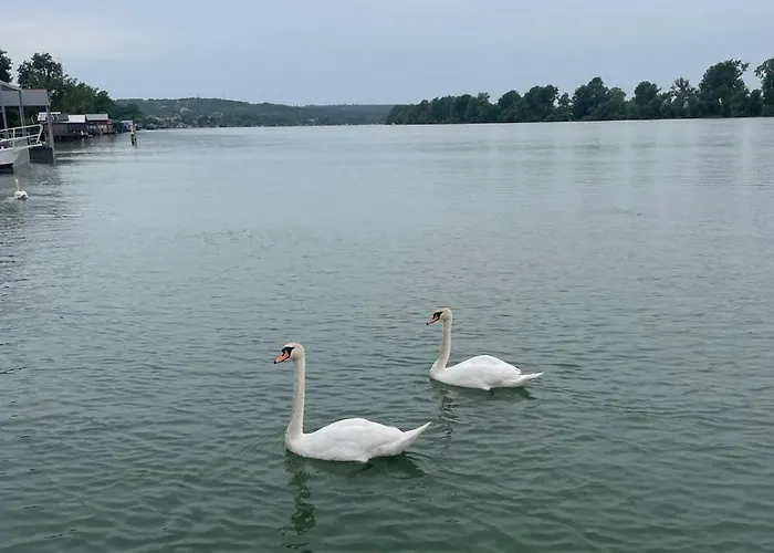 Kuca Za Proslave I Odmor Zmajevo Gnezdo Villa *