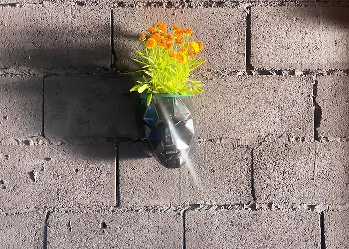 Kuca Za Proslave I Odmor Zmajevo Gnezdo Villa